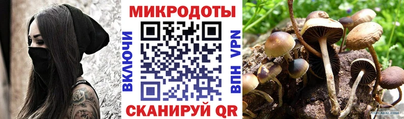 ссылка на мегу онион  Заречный  Псилоцибиновые грибы Cubensis  сколько стоит 